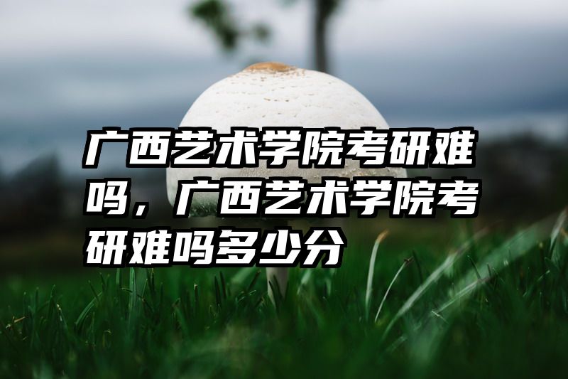 广西艺术学院考研难吗，广西艺术学院考研难吗多少分