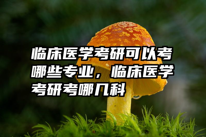 临床医学考研可以考哪些专业，临床医学考研考哪几科