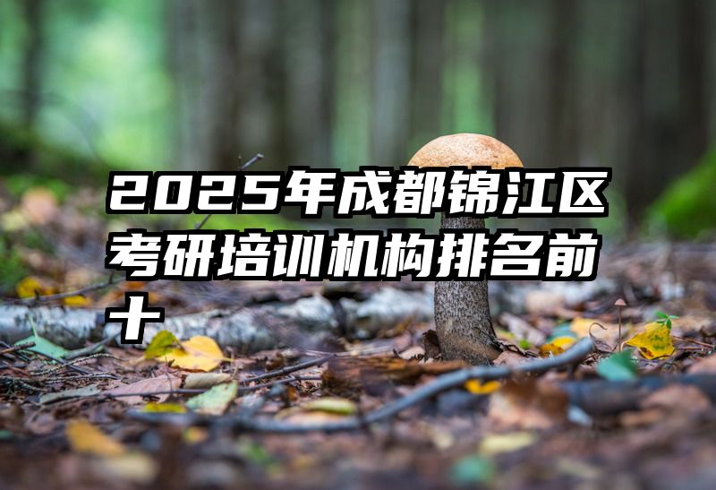 2025年成都锦江区考研培训机构排名前十