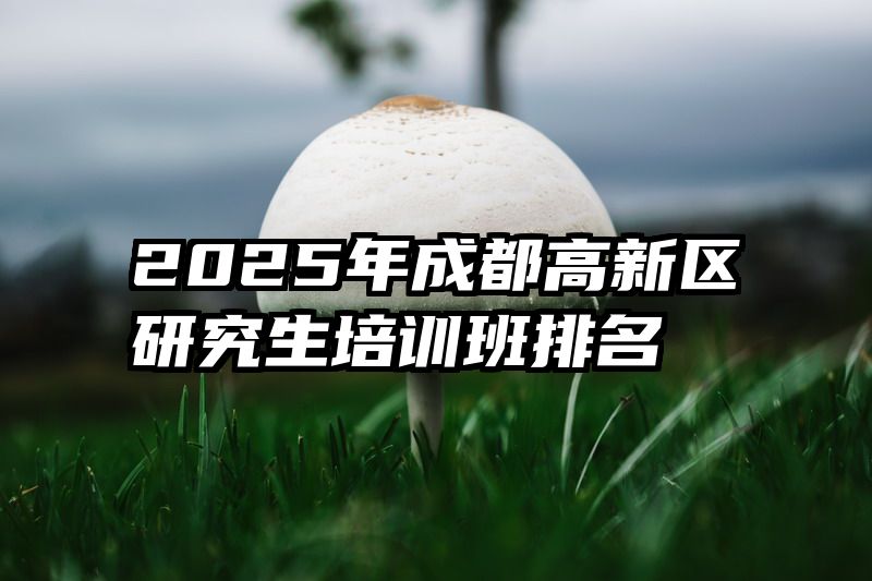 2025年成都高新区研究生培训班排名