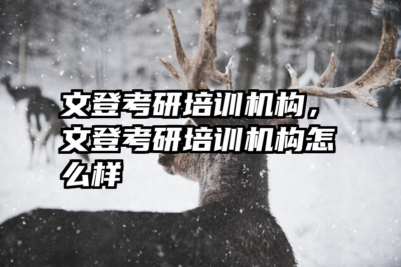 文登考研培训机构，文登考研培训机构怎么样
