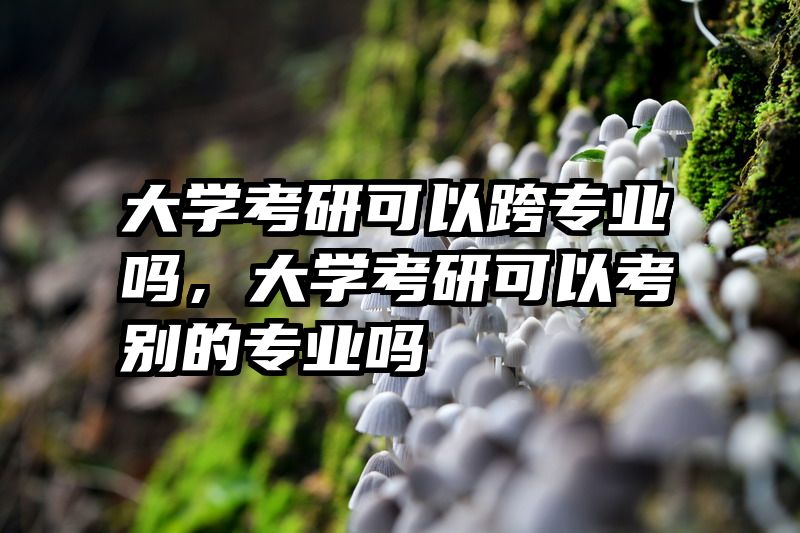 大学考研可以跨专业吗，大学考研可以考别的专业吗
