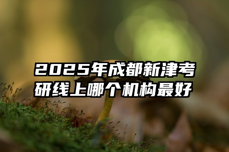 2025年成都新津考研线上哪个机构最好