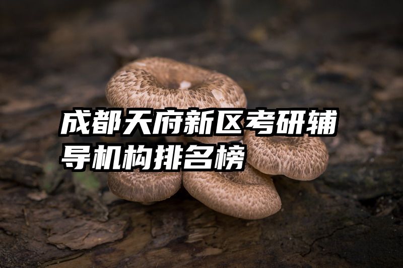 成都天府新区考研辅导机构排名榜