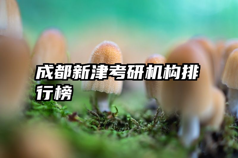成都新津考研机构排行榜