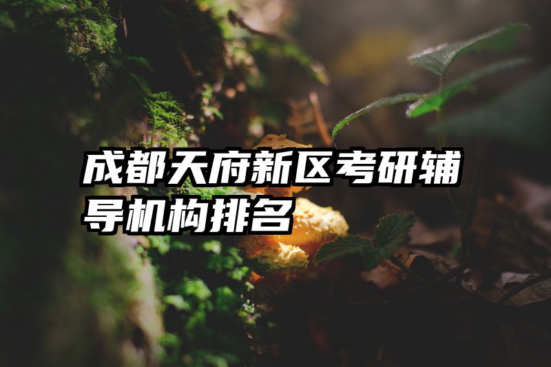 成都天府新区考研辅导机构排名
