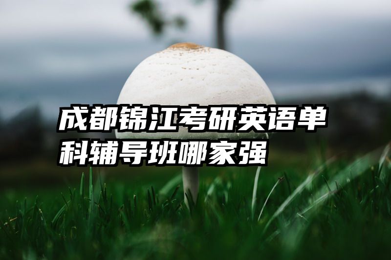 成都锦江考研英语单科辅导班哪家强