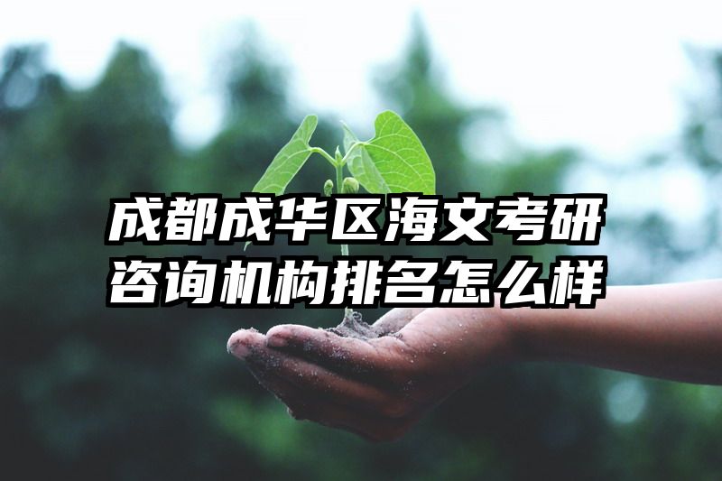 成都成华区海文考研咨询机构排名怎么样