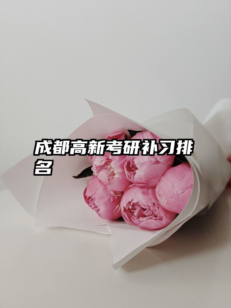 成都高新考研补习排名
