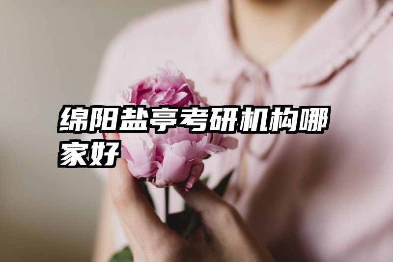 绵阳盐亭考研机构哪家好