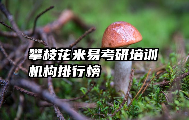 攀枝花米易考研培训机构排行榜