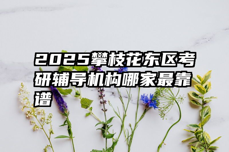 2025攀枝花东区考研辅导机构哪家最靠谱