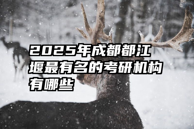 2025年成都都江堰最有名的考研机构有哪些