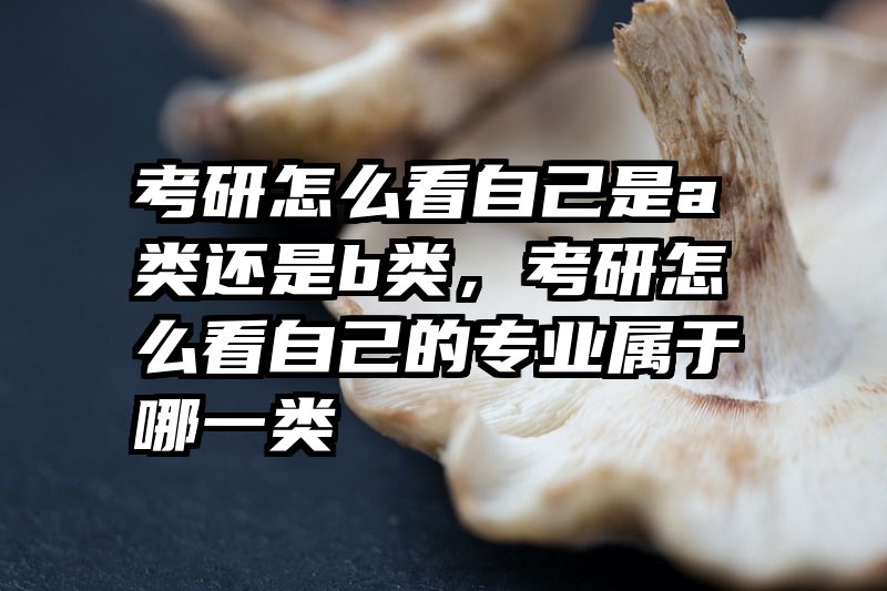 考研怎么看自己是a类还是b类，考研怎么看自己的专业属于哪一类