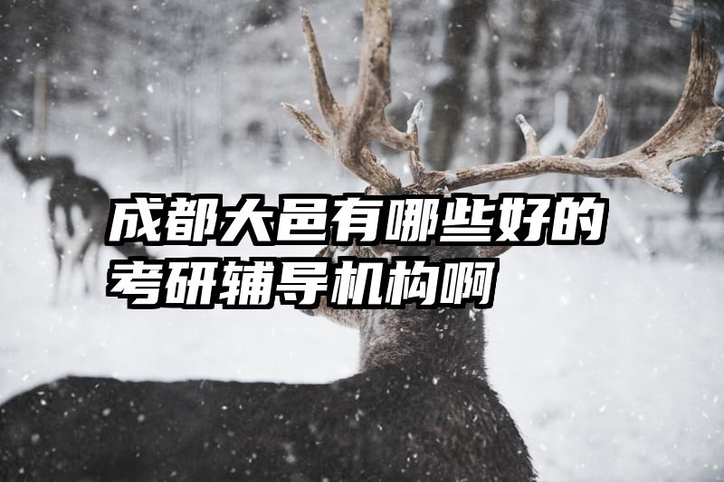 成都大邑有哪些好的考研辅导机构啊