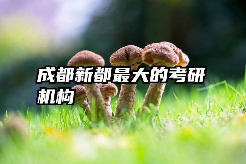 成都新都最大的考研机构
