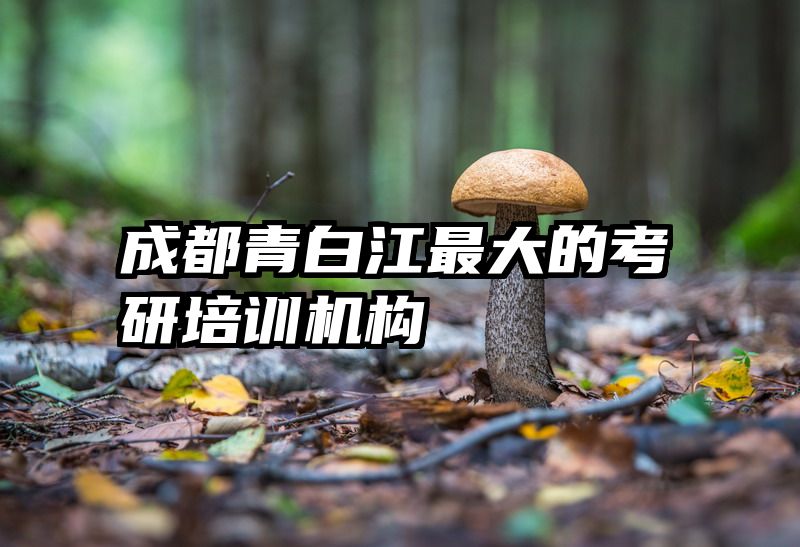 成都青白江最大的考研培训机构