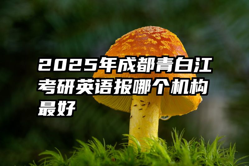 2025年成都青白江考研英语报哪个机构最好