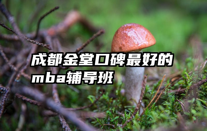 成都金堂口碑最好的mba辅导班