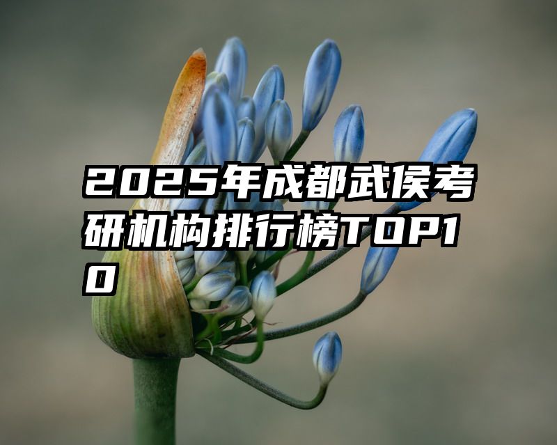 2025年成都武侯考研机构排行榜TOP10