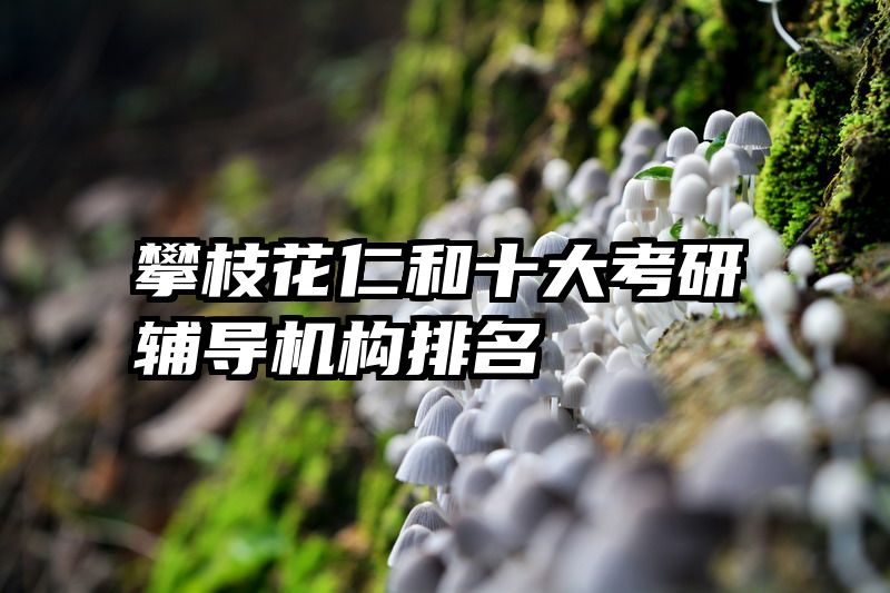 攀枝花仁和十大考研辅导机构排名