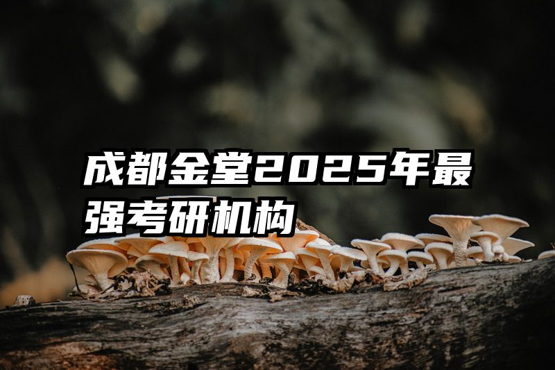成都金堂2025年最强考研机构