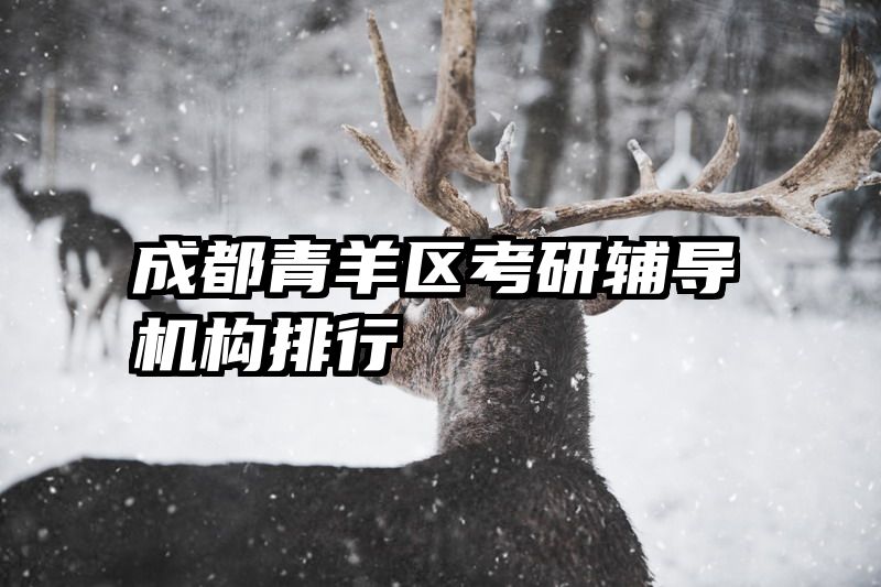 成都青羊区考研辅导机构排行
