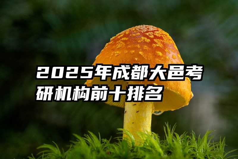 2025年成都大邑考研机构前十排名