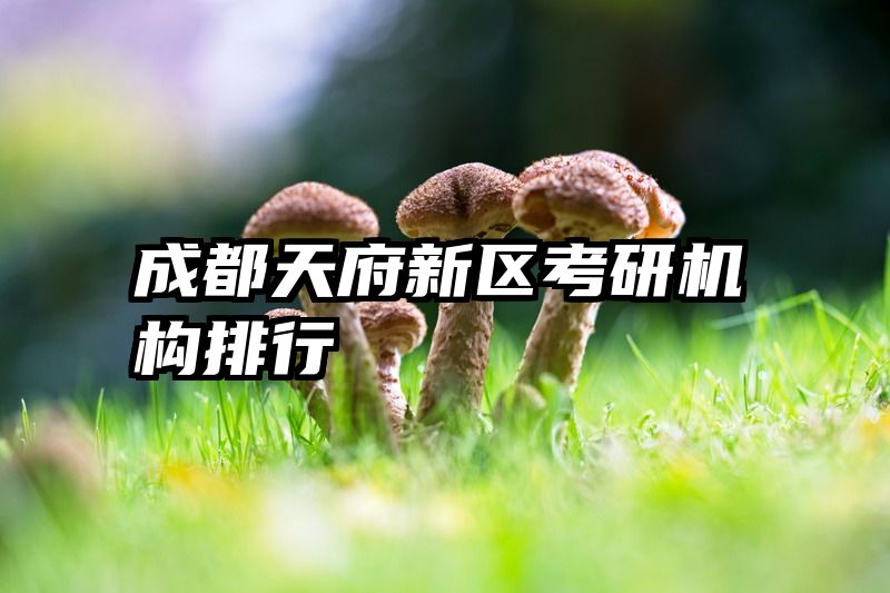 成都天府新区考研机构排行
