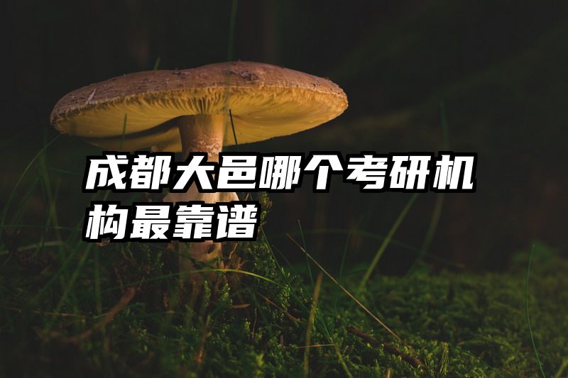 成都大邑哪个考研机构最靠谱