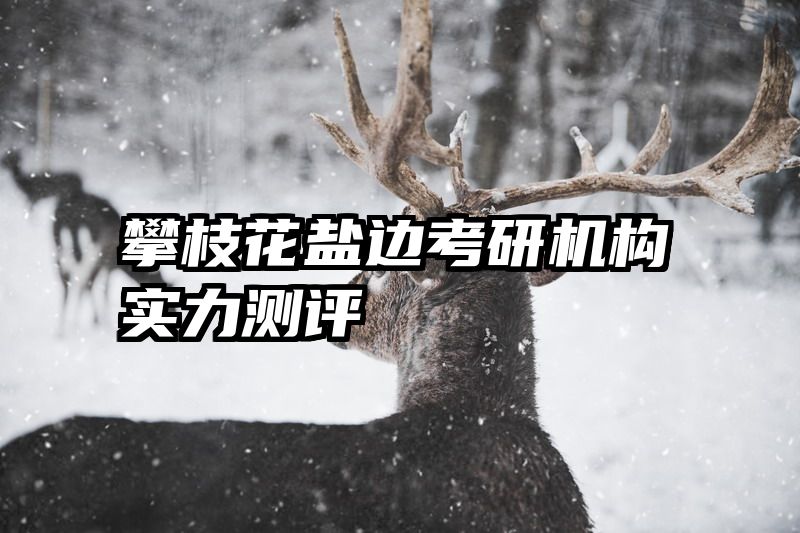 攀枝花盐边考研机构实力测评