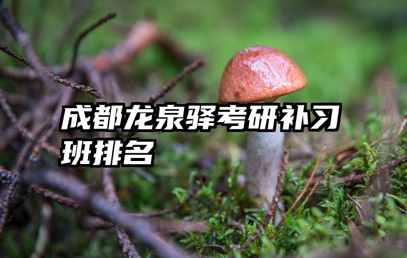 成都龙泉驿考研补习班排名