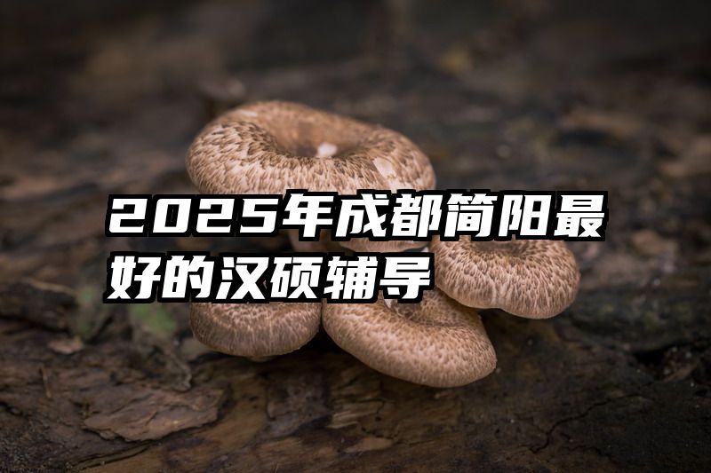 2025年成都简阳最好的汉硕辅导
