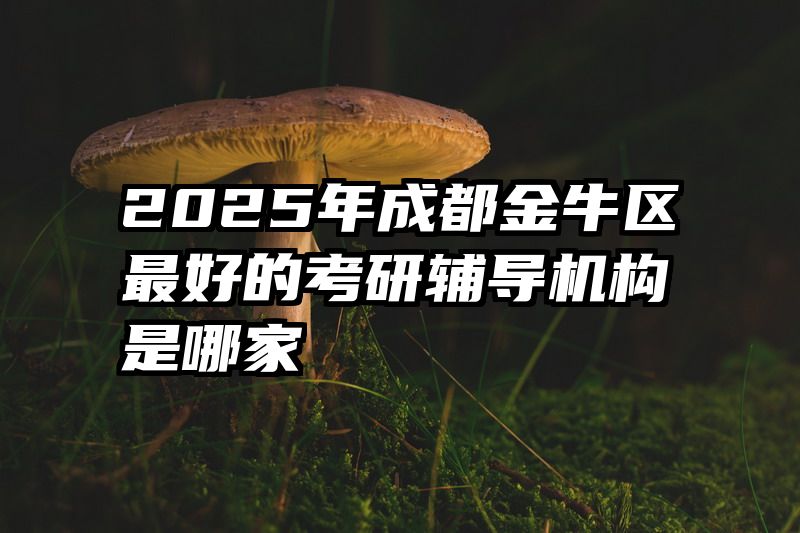 2025年成都金牛区最好的考研辅导机构是哪家