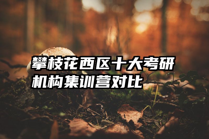 攀枝花西区十大考研机构集训营对比