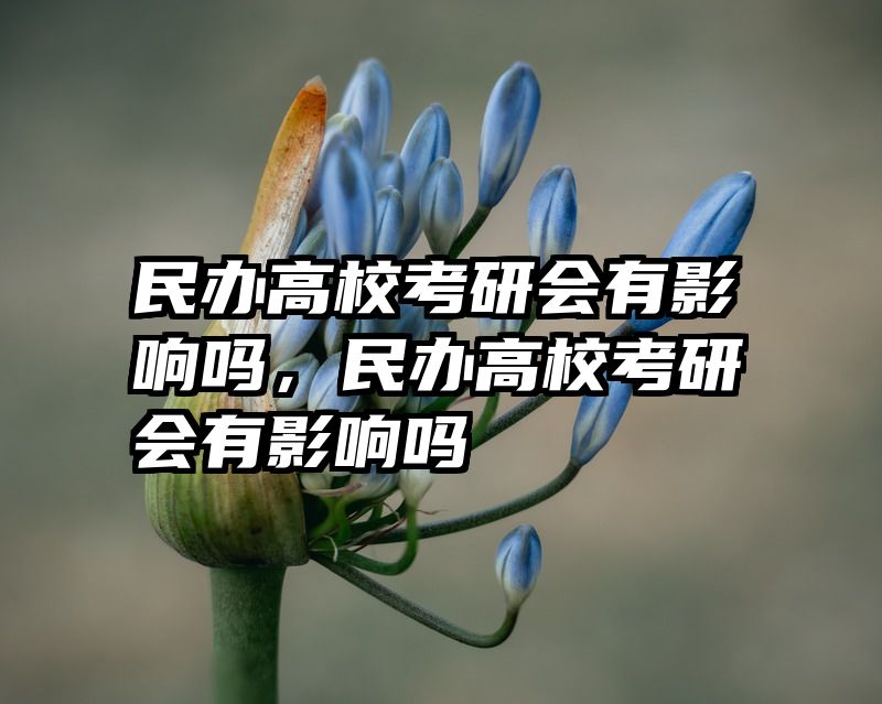 民办高校考研会有影响吗，民办高校考研会有影响吗