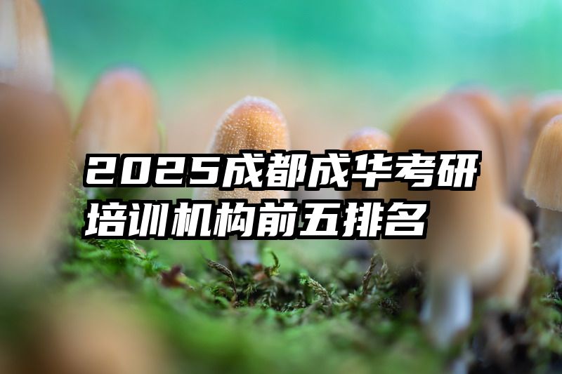 2025成都成华考研培训机构前五排名
