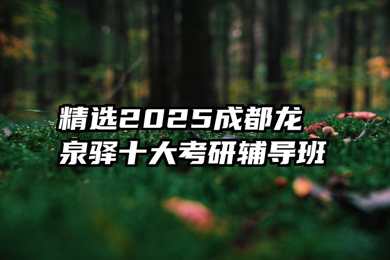 精选2025成都龙泉驿十大考研辅导班