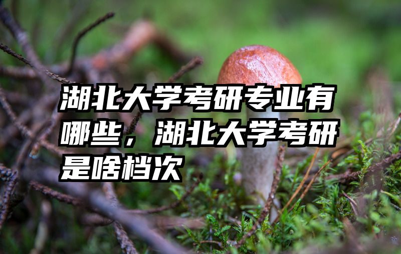 湖北大学考研专业有哪些，湖北大学考研是啥档次