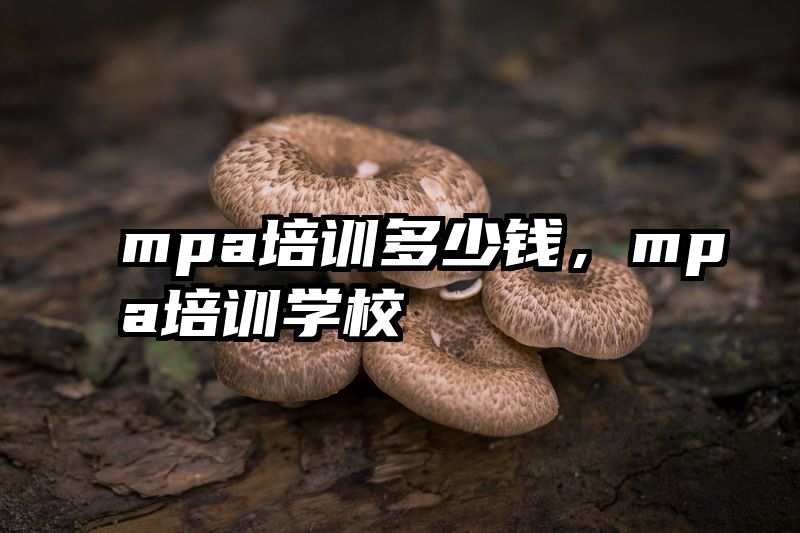 mpa培训多少钱，mpa培训学校