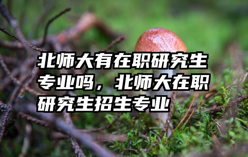 北师大有在职研究生专业吗，北师大在职研究生招生专业