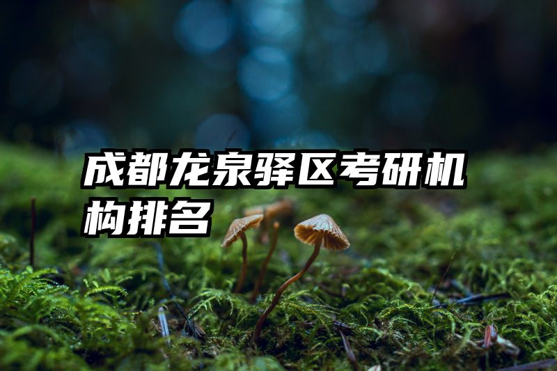 成都龙泉驿区考研机构排名