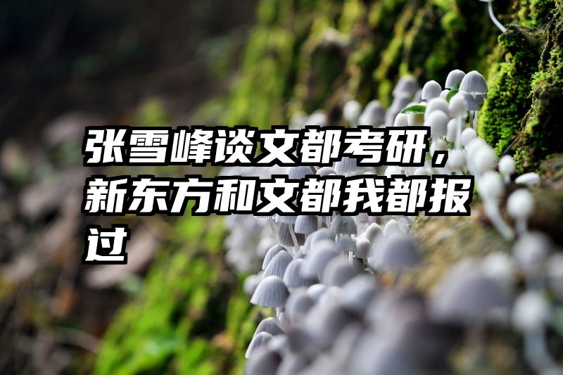 张雪峰谈文都考研，新东方和文都我都报过