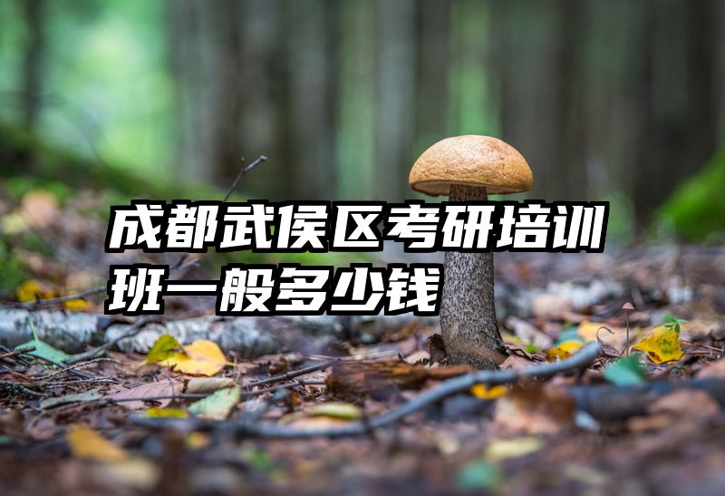 成都武侯区考研培训班一般多少钱
