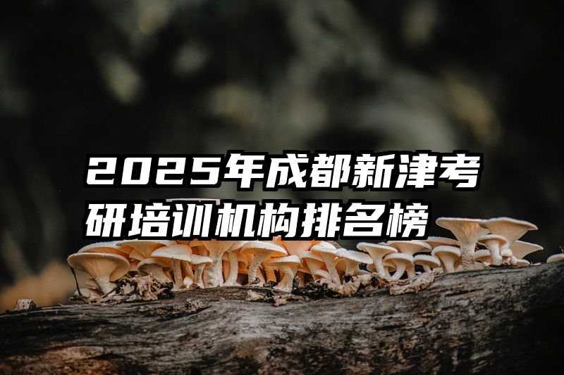 2025年成都新津考研培训机构排名榜