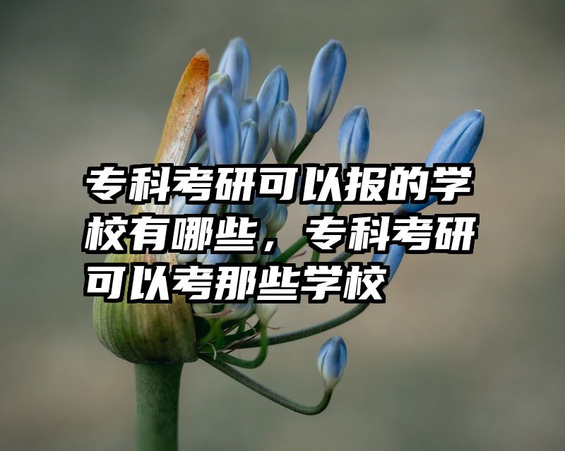 专科考研可以报的学校有哪些，专科考研可以考那些学校