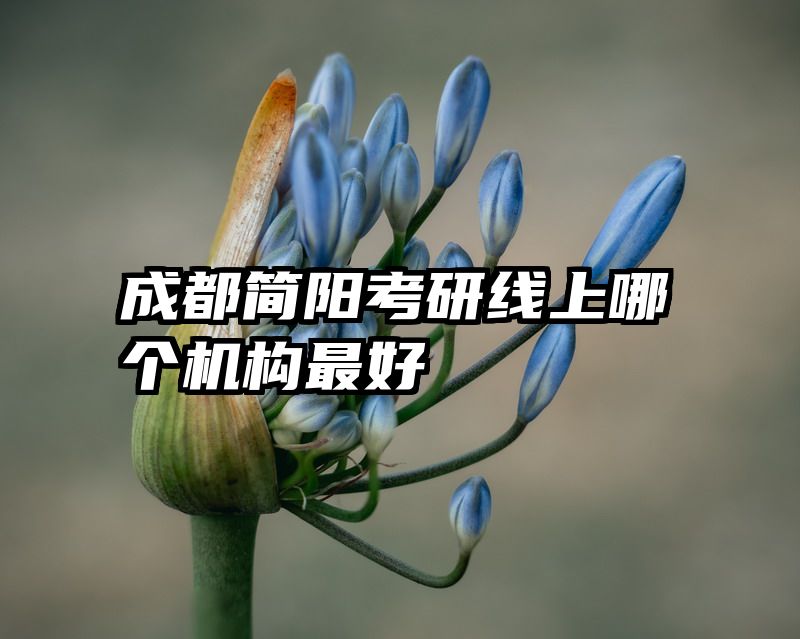 成都简阳考研线上哪个机构最好