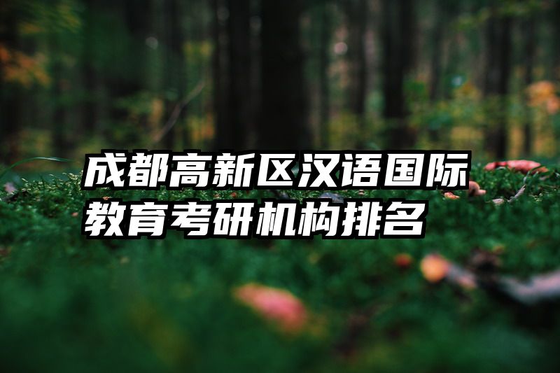 成都高新区汉语国际教育考研机构排名