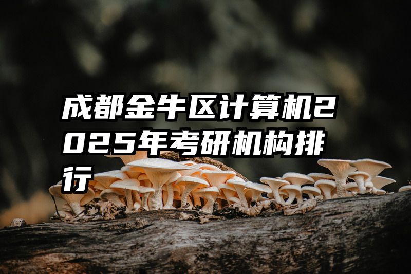 成都金牛区计算机2025年考研机构排行