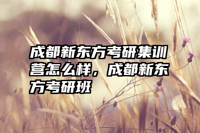成都新东方考研集训营怎么样，成都新东方考研班